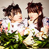LADYBABY