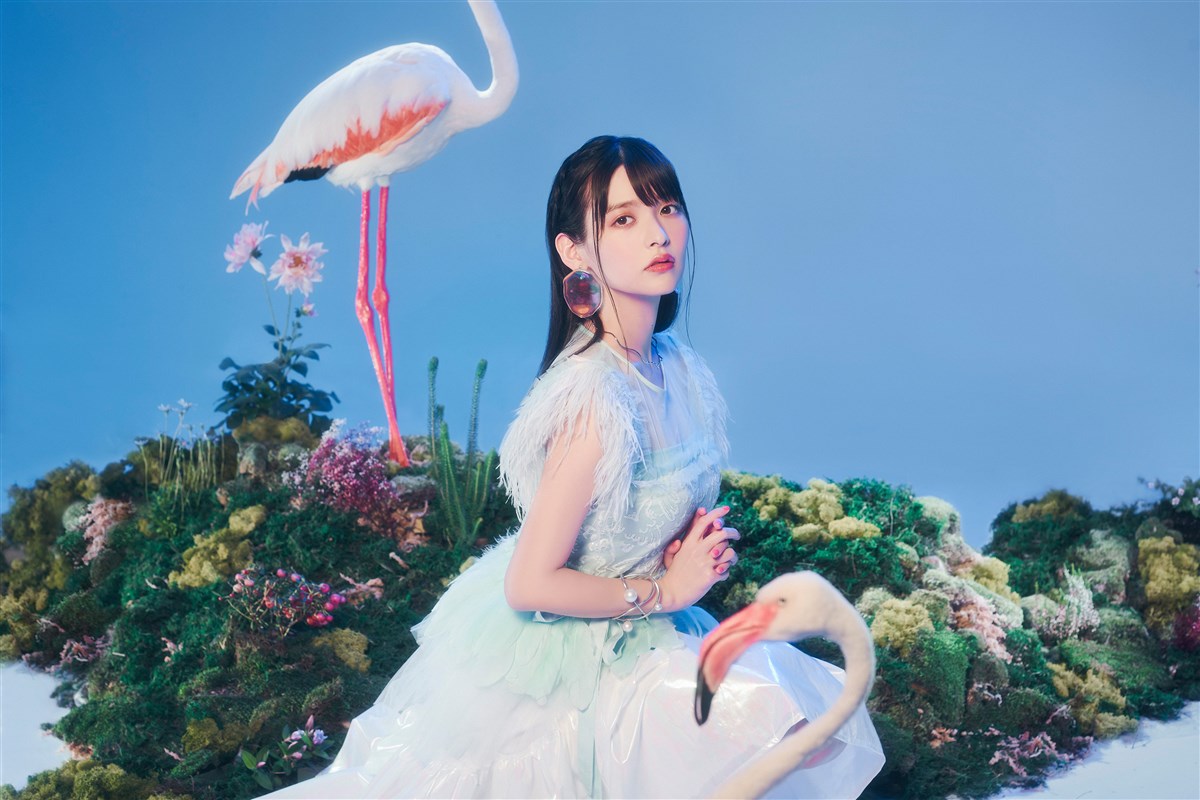 上坂すみれ King Records Official Site