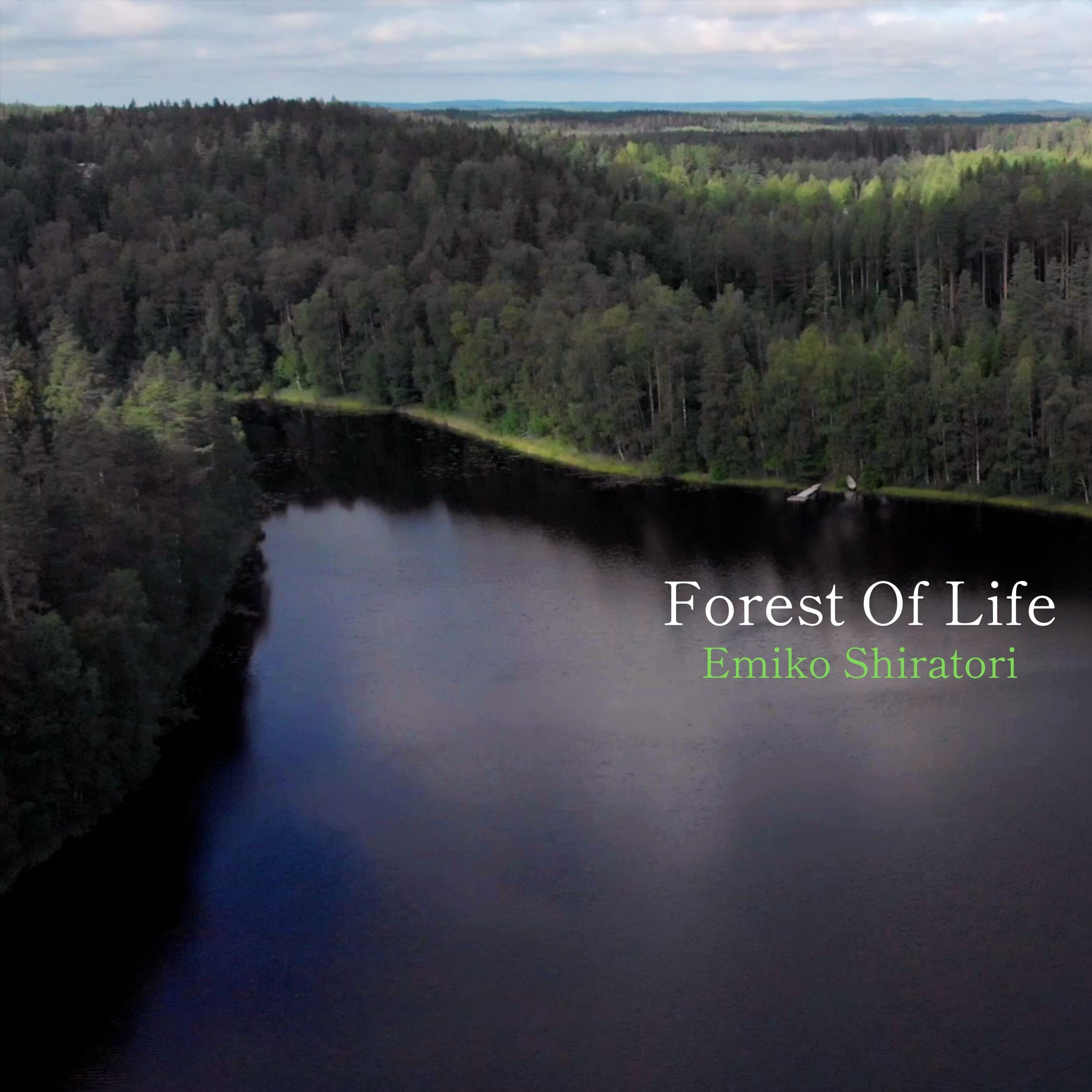 Forest Of Life
