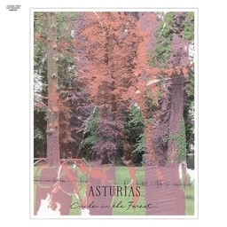 ���킢���p��̂����` �x�X�g