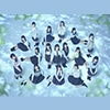 STU48